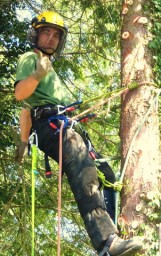 Adam using a rope and harness whilst felling