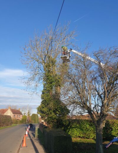 Our MEWP (Mobile Elevated Work Platform) can significantly improve safety in arboriculture