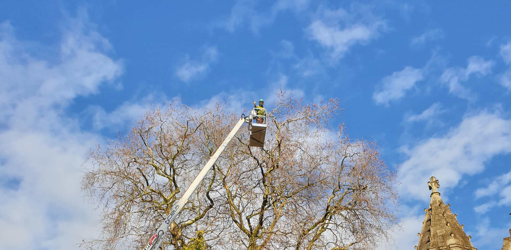 Our MEWP (Mobile Elevated Work Platform) can significantly improve safety in arboriculture