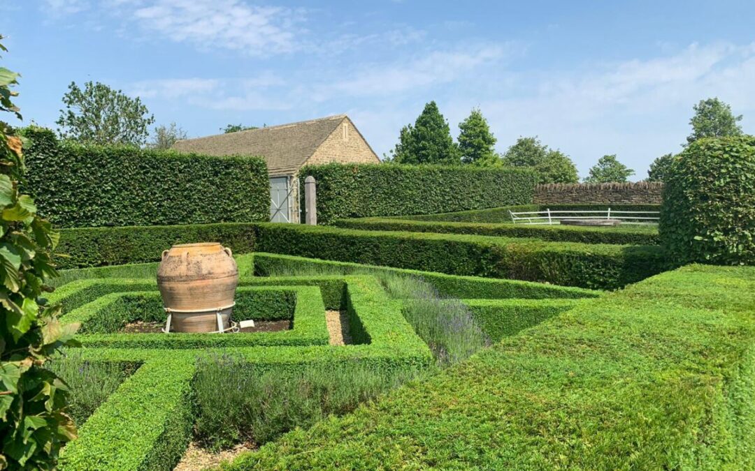 Box and Yew hedges after trimming