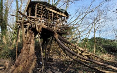 Tree Houses