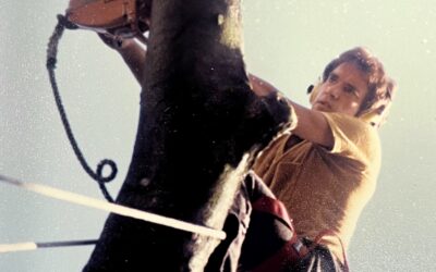 “Back in the Day”