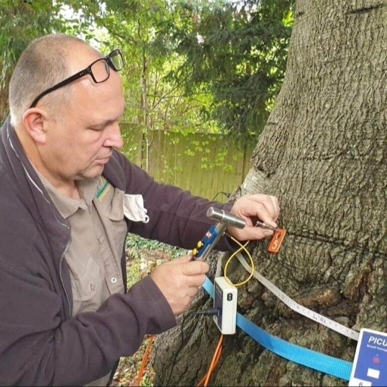 Arboricultural Consultancy Services