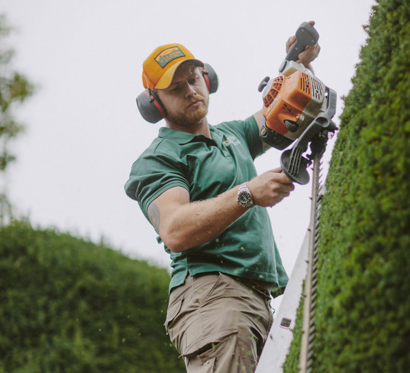 hedge-trimming-shaping-bg