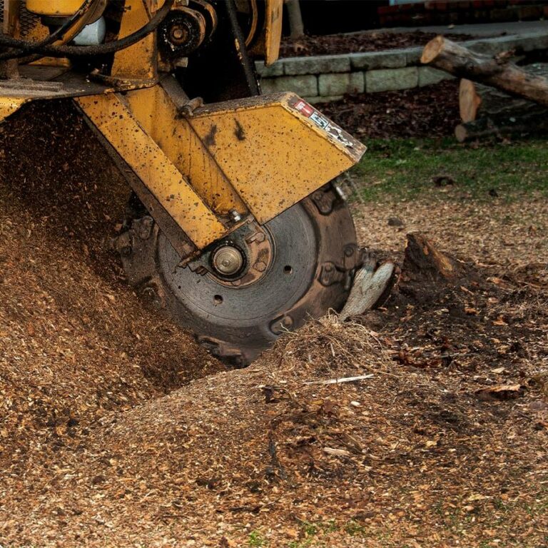 Tree Stump Removal & Treatment