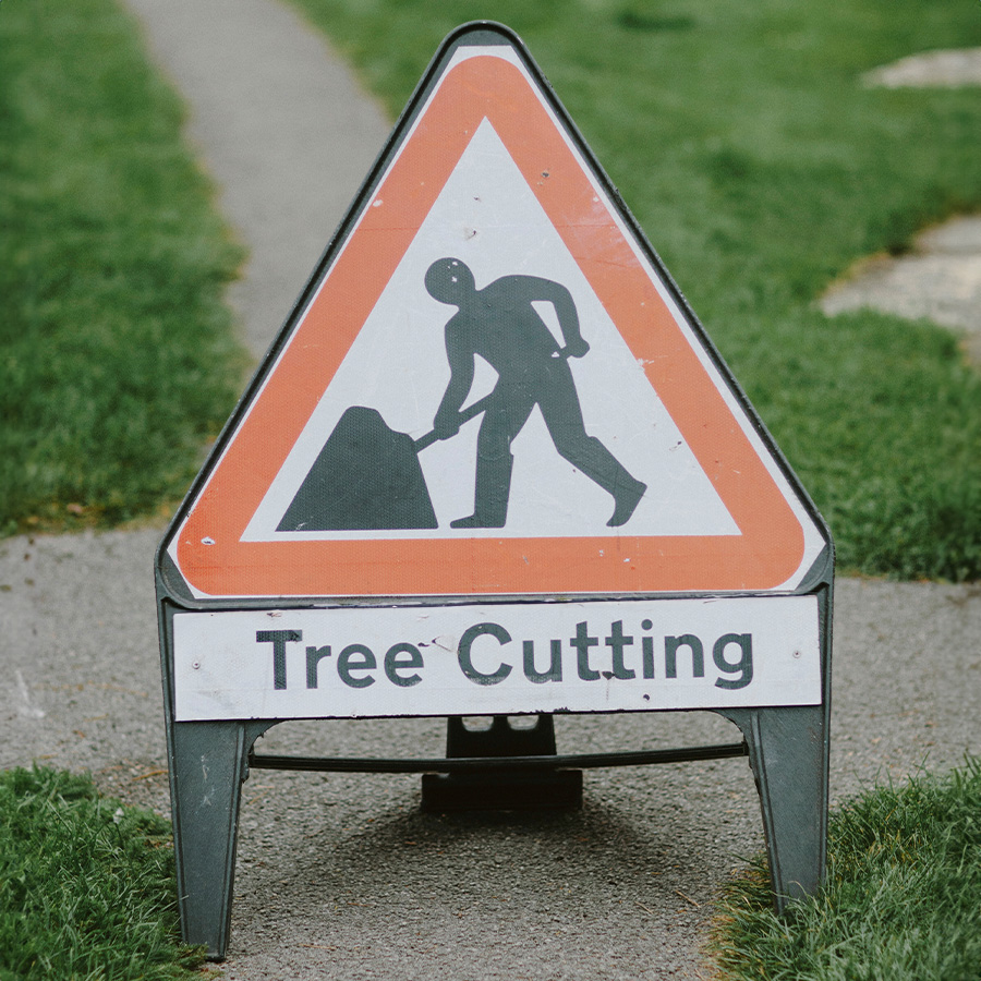 local authority tree care services